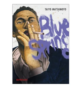 Blue Spring | Taiyo Matsumoto | Reprodukt | Neu | Deutsch - Bild 1 von 7