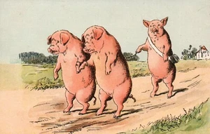 Traurige Gefangenenschweine in Ketten auf dem Bauernhofweg spazieren Vintage Schwein Postkarte - Bild 1 von 2