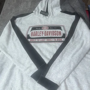 Sudadera Harley Davidson Talla XL Gris Sudadera con Capucha - Imagen 1 de 9