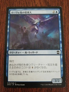 MTG Warden of Evos Isle Japanese EMA 1x NM Common Blue Flying Cost Reducer - Picture 1 of 2