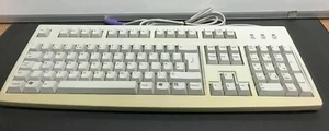Cherry RS 6000 M PS2 QWERTY Keyboard English - Picture 1 of 5