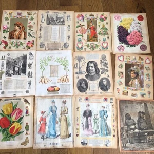 SCRAPS, CARDS AND CHROMO PRINTS - 12 LOOSE VICTORIAN ALBUM SCRAPBOOK PAGES (A) - Picture 1 of 24