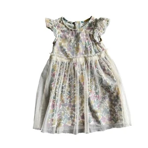 Hanna Andersson Daisy Dress Girls Size 4 Pink White Floral Lined Mesh Ruffle - Picture 1 of 6