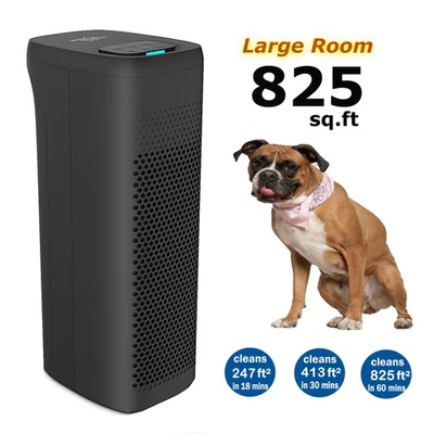 MEMBRANE SOLUTIONS Large Room Air Purifier for Home Allergies Smog Pets Odor Dust Air Filters PM2.5