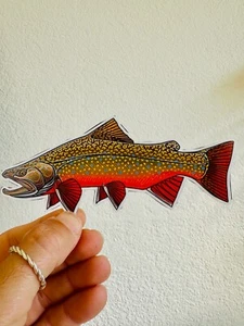 Brook Trout Sticker Fly fishing Rainbow Brown Brook Trout Fishing Decal tackle - Picture 1 of 1