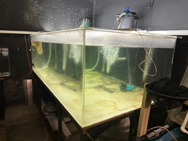 PECERA ACRÍLICA 600 GALONES Y SUMA Foto 1 de 4