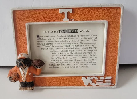 Tale Of The Tennessee Mascot Vols Framed Officially Licensed Talegaters Inc Cover