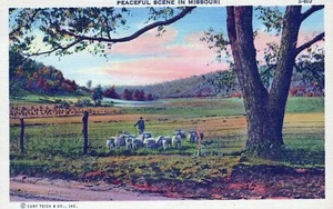 Postal de Missouri escena pacífica S-403 sin publicar - Imagen 1 de 2