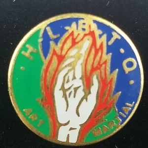 Vintage Martial Arts HOA LINH BAC TRU QUYEN HLBTQ Member Badge Pin - Picture 1 of 3