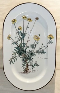 Villeroy &Boch BOTANICA 13" Floral Serving Tray Dish Platter Vitro-Porcelaine - Picture 1 of 5