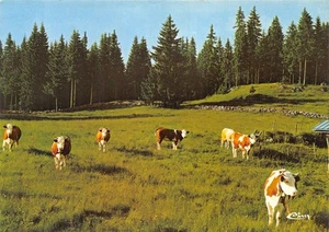 25-PATURAGES DANS LE DOUBS-N�C-4353-A/0325 - Imagen 1 de 2