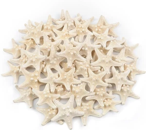 48 PCS Starfish, Mini Starfish 1" to 2" Small Knobby Starfish Natural Seashells  - Picture 1 of 12