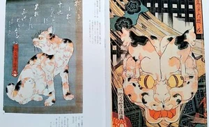 Edo Unique Woodblock Tattoo Irezumi Reference Flash Book Art Design sketch MZ  - Bild 1 von 10