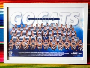 Póster GEELONG CATS AFL 2020 enmarcado - 84 cm x 59,5 cm x 3 cm - Imagen 1 de 3
