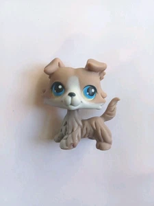 COLLIE DOG #67 - Authentic Littlest Pet Shop - 2005 Hasbro LPS Magnetic - Picture 1 of 4