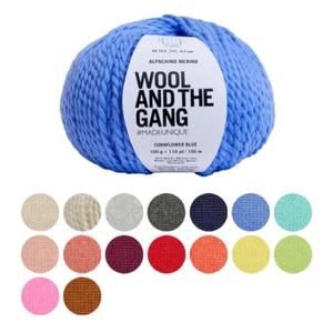Knitting Yarn Wool and the Gang Alpachino Merino Chunky Plain 12 Ply 110 yds - Picture 1 of 30
