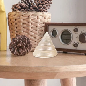 Schreibtisch Ornamente Muschel Dekor zarte Muschel Schmuck Indoor Büro - Bild 1 von 12