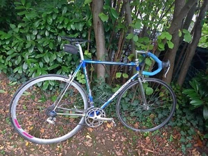 Rennrad Colnago Master Olympic blau - Bild 1 von 7