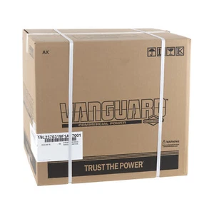 Briggs & Stratton - 19L237-0319-F1 - ENGINE PACKED SINGLE CARTON - Picture 1 of 5