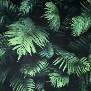 Arthouse Fern Wall 3D Conversational Green Wallpaper 907601 - Picture 1 of 4