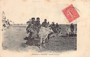Mali - Carrier oxen - Publ. A. Bergeret - Picture 1 of 2