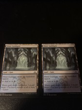 MTG Dimir Guildgate x2 Guilds Of Ravnica