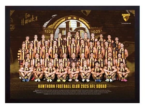 Framed 2025 Hawthorn Hawks AFL Football Poster - 45cm x 32cm x 3cm - Picture 1 of 4