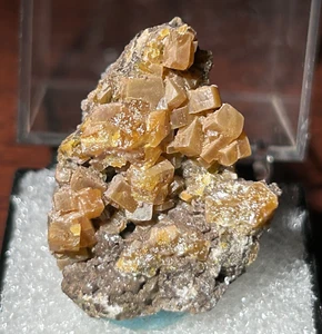 WULFENITE (TN) - Stevenson-Bennett Mine, Doña Ana County, New Mexico - Picture 1 of 11