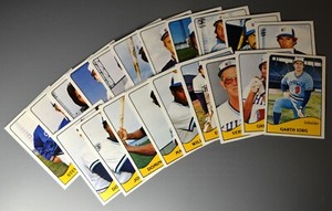 1979 TCMA SYRACUSE CHIEFS MINOR LEAGUE TEAM SET (20 CARDS) GARTH IORG