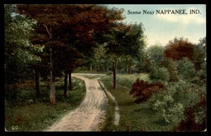 Postcard Wooded Road Scene, Nappanee, IN - Picture 1 of 2