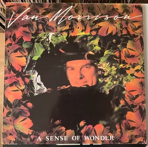 Van Morrison/A sense of wonder UK 1984 1e PRESS JAZZ/ROCK VERY GOOD+ LP VINYL - Picture 1 of 7