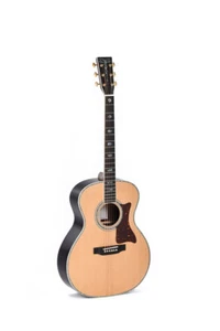 Sigma SGR-41 Custom Guitar (Showroom) - Picture 1 of 1