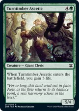 4x Turntimber Ascetic MTG Zendikar Rising NM Magic Regular