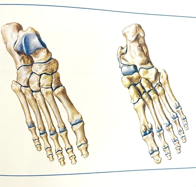 Voltaren Diclofenac Sodium Special Edition Book Hardcover Limited Edition 1987 - Image 1 of 4