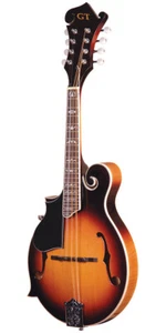 Gold Tone Left Hand F-Style Mandolin w/ Gig Bag - Picture 1 of 1