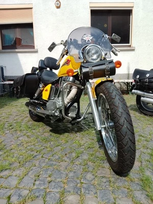 Verkaufe schweren Herzens,aus Gesundheitlichen Gründen meine Savage LS 650 - Bild 1 von 4