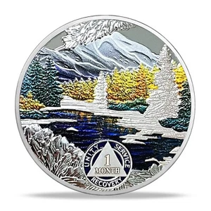 1 Month Sobriety Coin AA NA Chips Medallion Medallion Sober Gifts For Men Women - Picture 1 of 12
