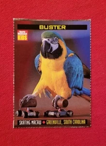 1998 Sports Illustrated For Kids Buster #680 Skating Macaw FREE SHIPPING - Picture 1 of 6