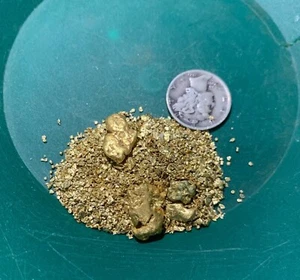 Gold Paydirt 8 lbs Unsearched Guaranteed Gold Panning Pay Dirt Gold Nuggets Bag - Picture 1 of 4