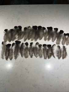 30 pezzi di piume piatte in bronzo tacchino selvatico naturale per legare mosche o artigianato - Foto 1 di 8