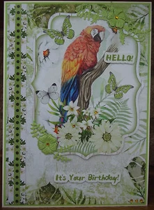 handmade summer birthday card a tropical wildlife parrot bird design - Picture 1 of 4