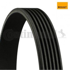 V-rib belt CONTINENTAL CTAM 6PK2115 for Porsche 911 VW
