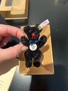 Schwarzer Teddybär 2000/2001 Steiff Club Mini Bear Tag In Ear 420191 - MIB - Bild 1 von 11
