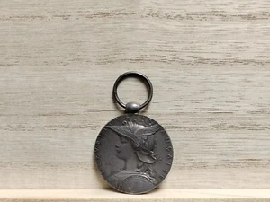 Medaglia d'argento 1895 francese Madagascar Campain (15,7 g, 30 mm) - Foto 1 di 10
