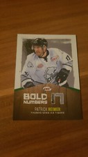 DEL 17-18 2017-2018 PARALLEL BOLD NUMBERS Patrick Reimer Nuremberg Ice Tigers