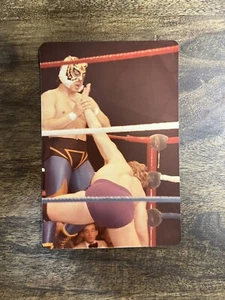 Vintage Tiger Mask 2 In The Ring Type 1 Photo WWE WWF NWA Wrestling - Picture 1 of 2