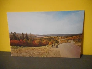 View of Bay of Islands and Corner Brook Newfoundland Postcard NF-7793 - Picture 1 of 3