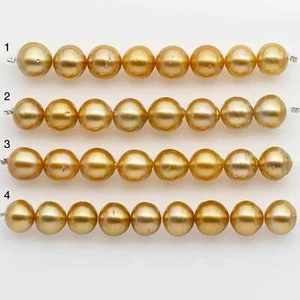12-13mm Golden South Sea Pearls, Natural Gold or Champagne Color, For Jewelry M - Picture 1 of 9