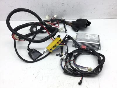 Cableado sistema eléctrico Hank LEM JUMPER ELETTRICO 2020 NRGEBR800K Foto 1 de 4