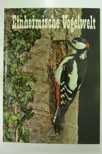 Gloria Sammelalbum Einheimische Vogelwelt Bildband Text LBV 1973 - Bild 1 von 2
